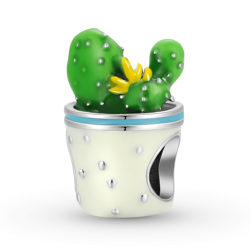 Cactus Charm