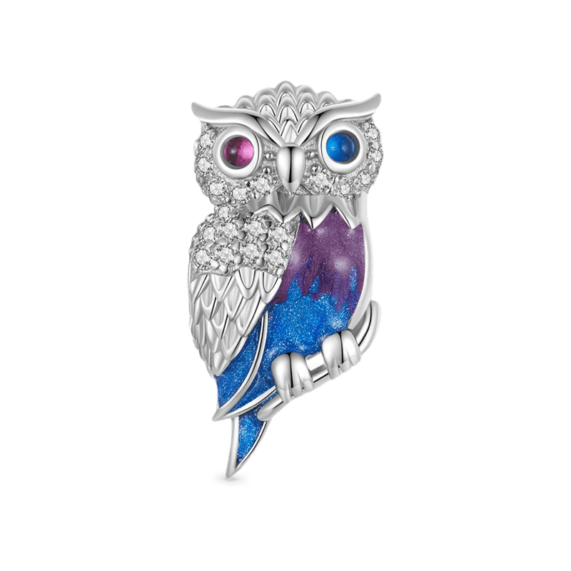 Magic Owl Charm