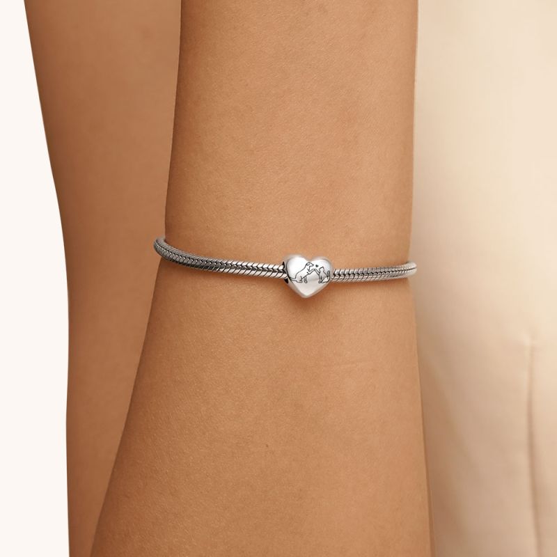 Love Cat & Dog Heart Charm