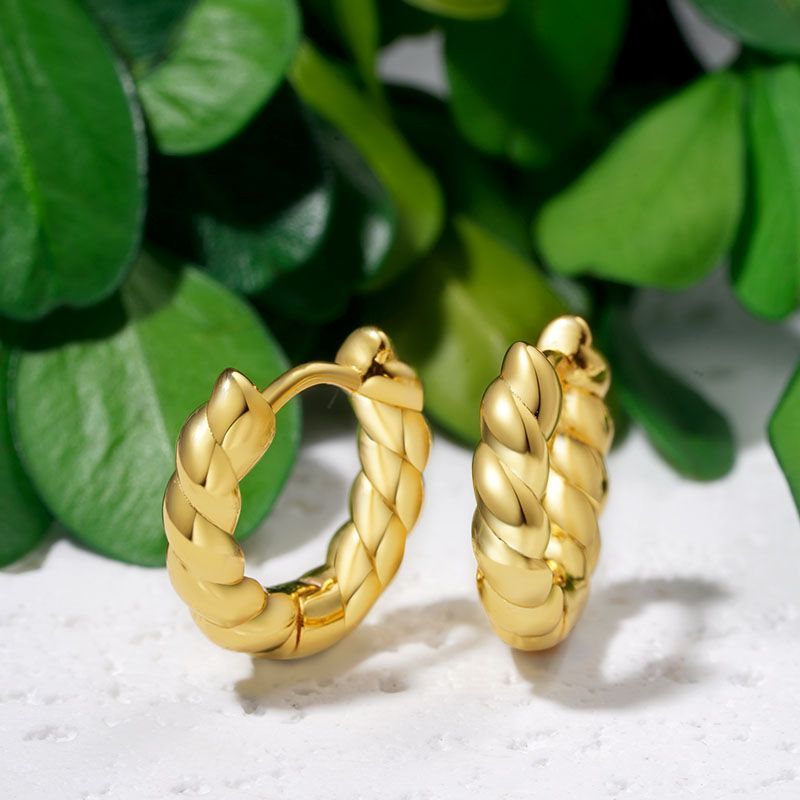 Twist Rope Design Hoop Earrings