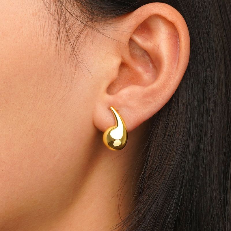 Drop Shape Earrings