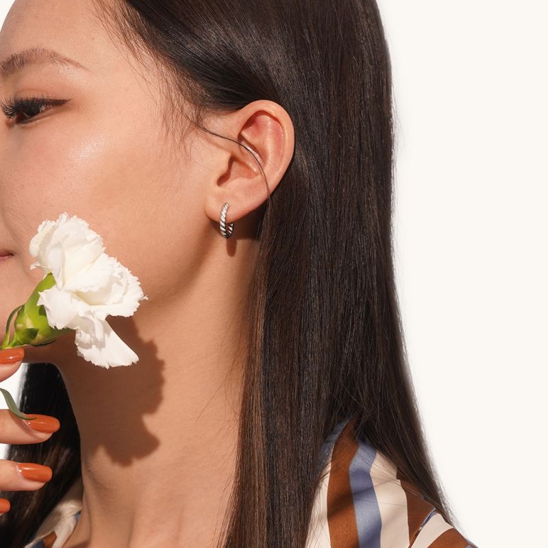 Twisted Rope Hoop Earrings