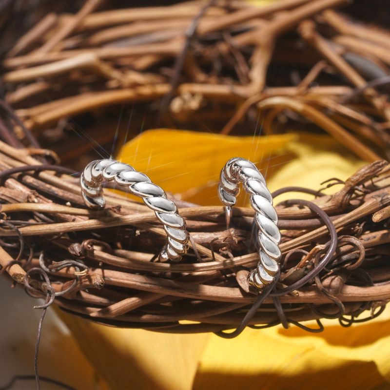 Twisted Rope Hoop Earrings