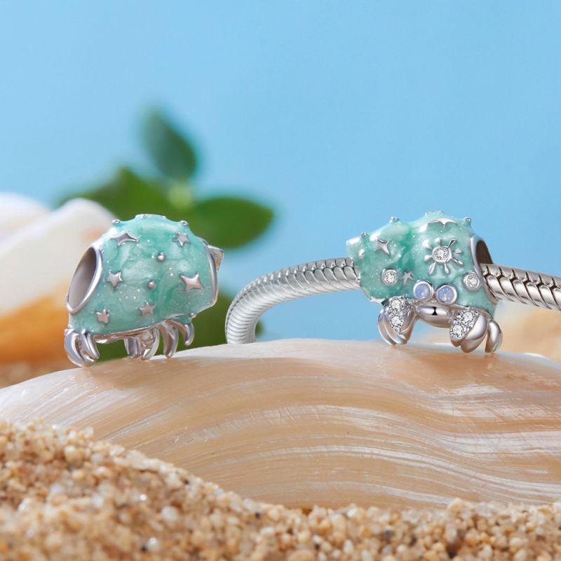Summer Hermit Crab Charm