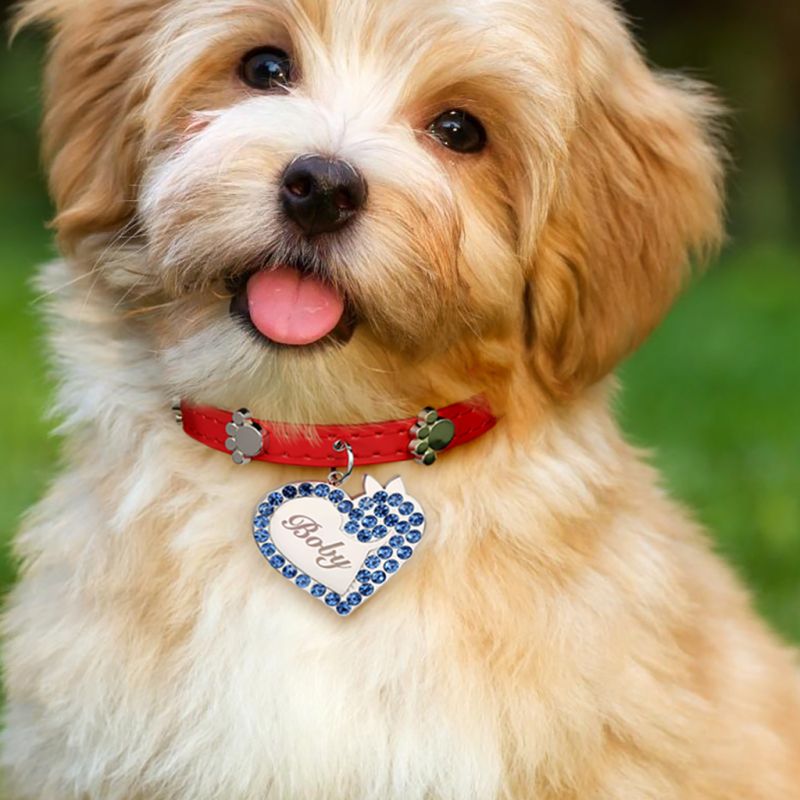 Heart Pet Tag & Collar Anti-Lost
