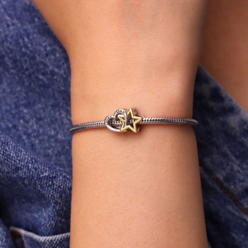 Lucky Star & Heart Charm
