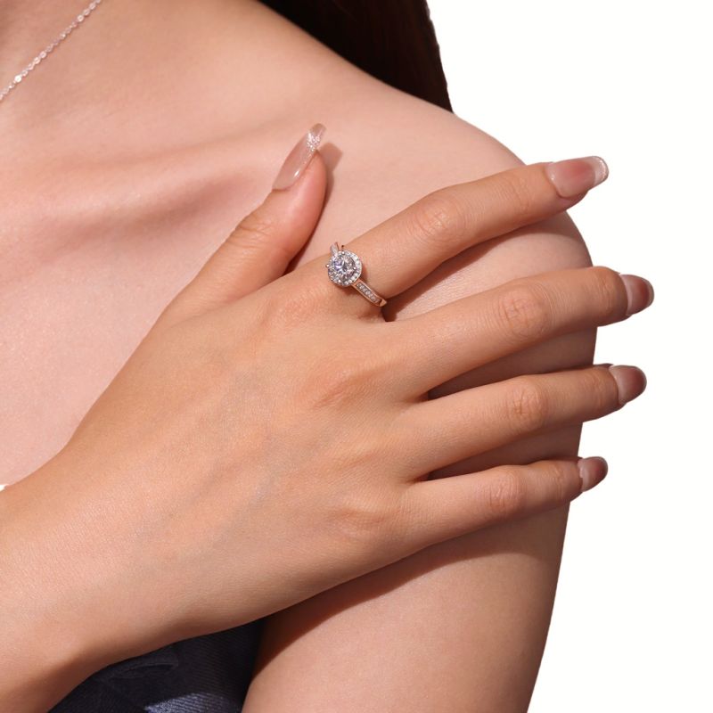 Shiny Round Halo VVS Moissanite Ring