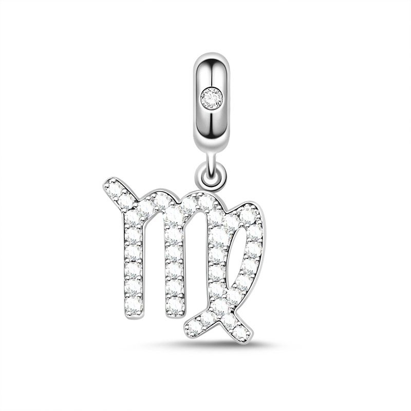 Zodiac Sign Charm