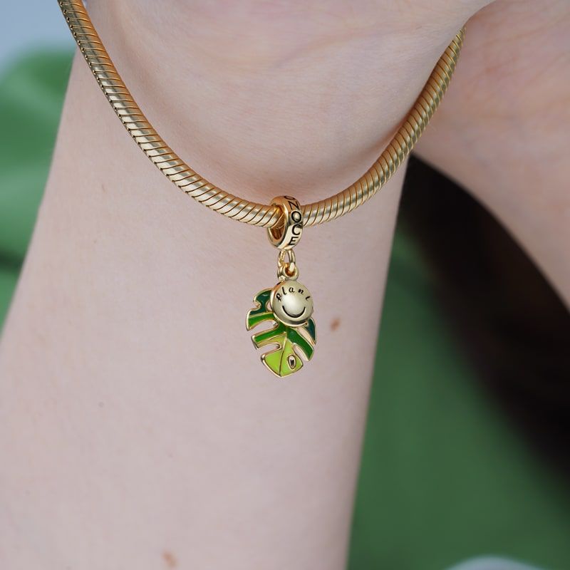 Monstera Deliciosa Liebm