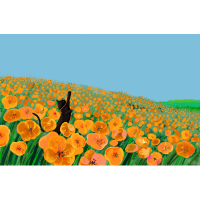 Gnoce Greeting Message Card