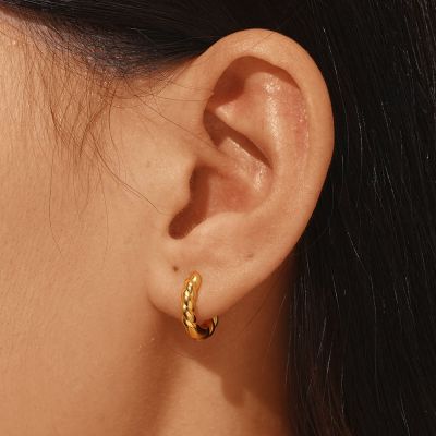 Twist Rope Design Hoop Earrings