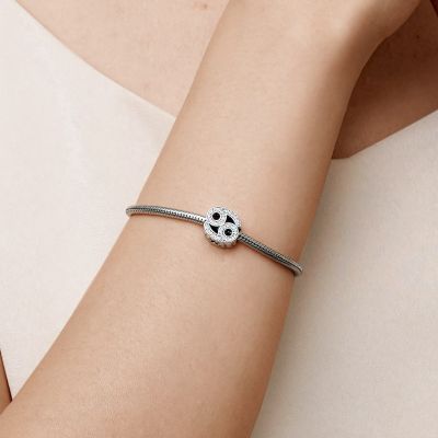 Zodiac Sign Lucky Charm