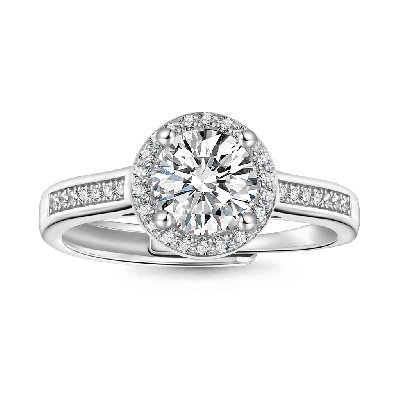Shiny Round Halo VVS Moissanite Ring