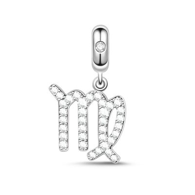 Zodiac Sign Charm