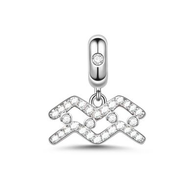 Aquarius Charm